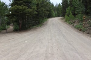 Boreas Pass Rocky Point Trail