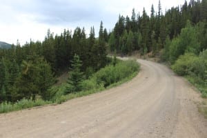 Boreas Pass National Forest