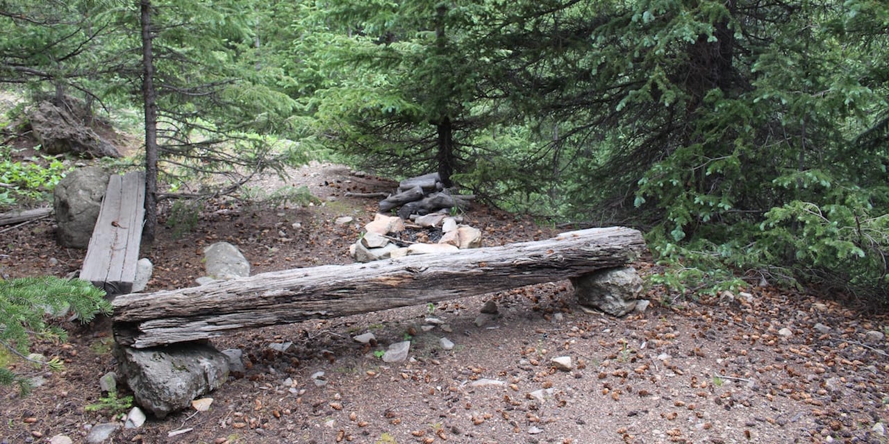 Boreas Pass Dispersed Campsite