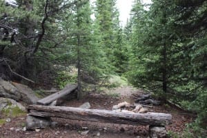 Boreas Pass Dispersed Campsite