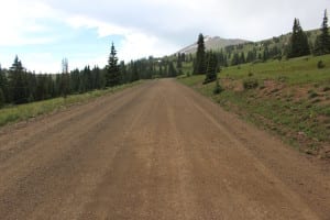 Boreas Pass Colorado Treeline