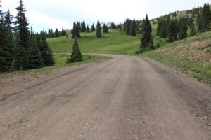 Boreas Pass Tree Line