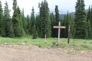 Boreas Pass Gold Dust Trail