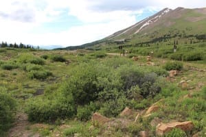 Boreas Pass Summit Colorado