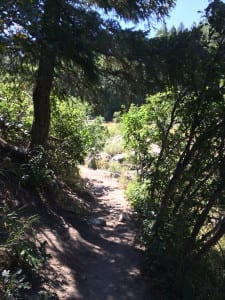 Castlewood Canyon State Park Nature Trail