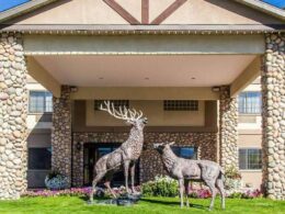 Best Hotels Eagle CO Quality Inn Entrance Elk Statue