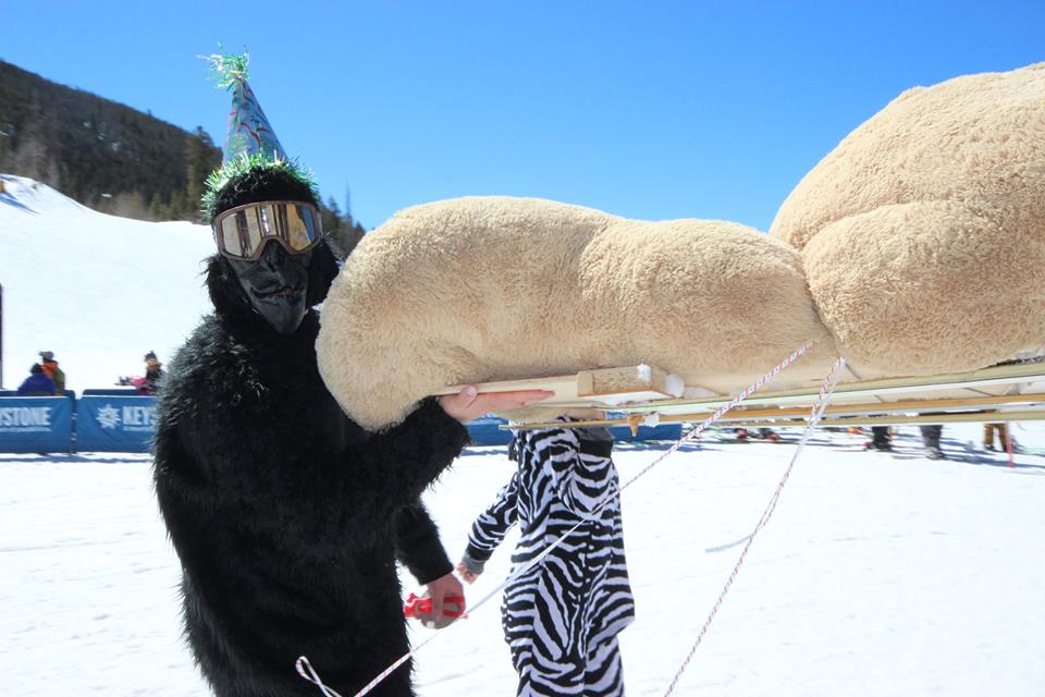 Red Bull Schlittentag Team Party Animals Sled