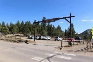 Elk Meadow Park Dog Off-Leash Area