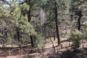 Elk Meadow Dog Park Lower Boundary