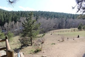 Elk Meadow Dog Park Fenced-In Area