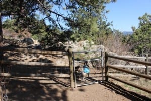 Elk Meadow Dog Park Gate