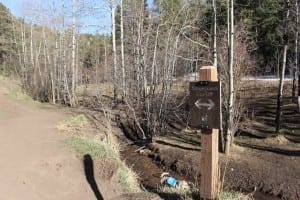 Elk Meadow Dog Park Stagecoach Cut Off.