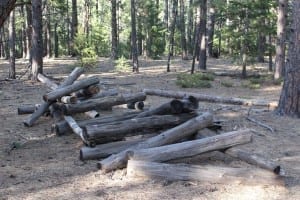 Elk Meadow Dog Park Log Shack