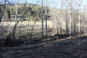 Elk Meadow Dog Park Off-Leash Evergreen