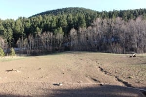 Elk Meadow Dog Park Fenced Meadow