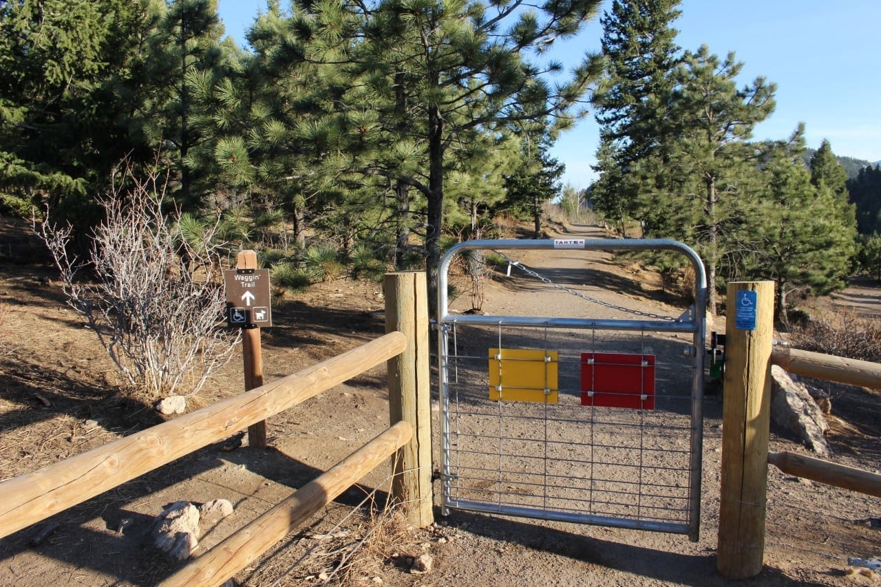 4 Legged Fun at Evergreen’s Dog Park Elk Meadow Dog OffLeash Area