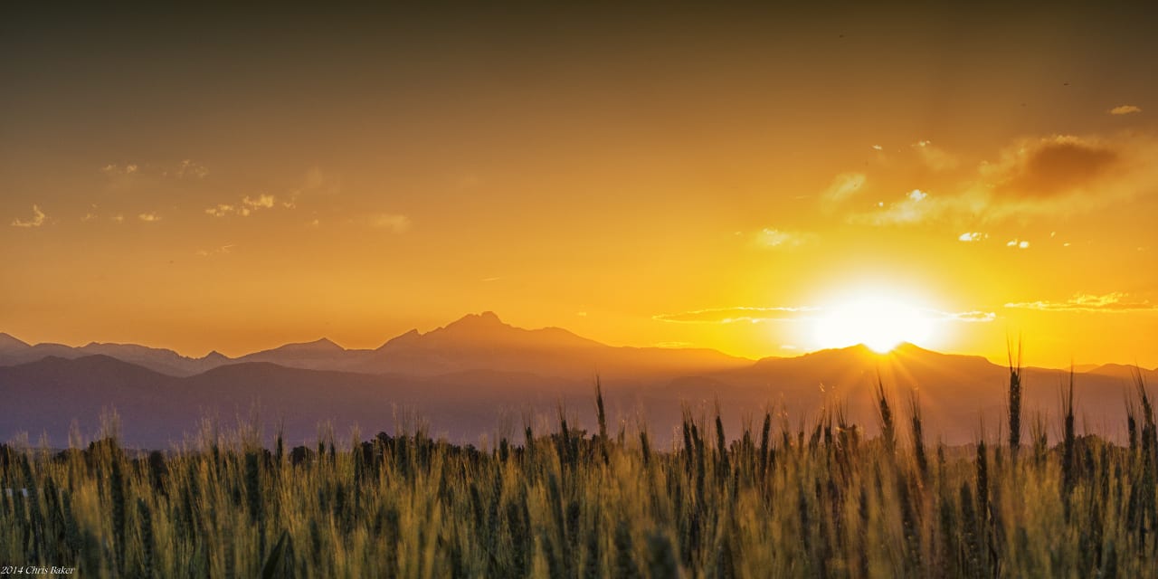 Erie Colorado Wheat Field Rocky Mountain Sunset