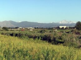 Longmont Colorado Longs Peak