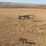 Wild Animal Sanctuary Keenesburg Tiger