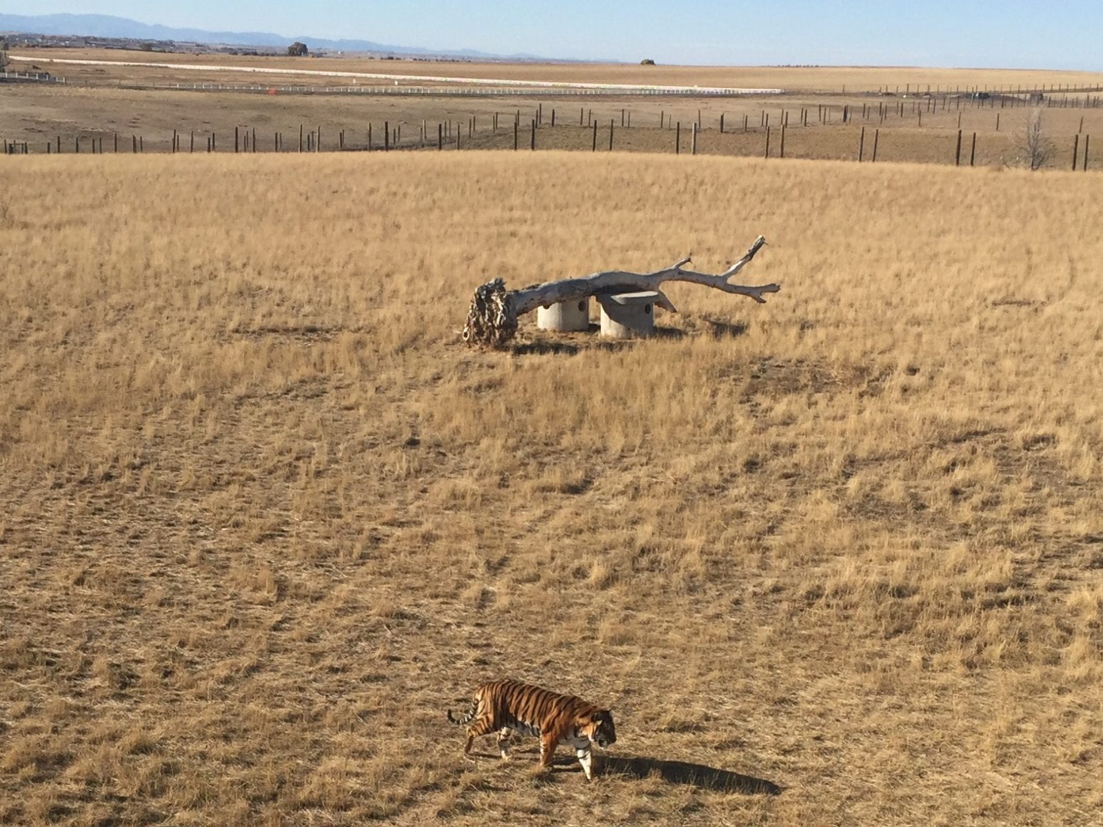 The Wild Animal Sanctuary, Keenesburg, CO