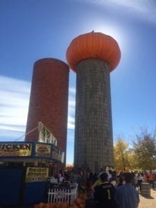 Anderson Farms Erie Pumpkin Silo