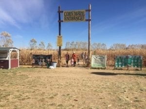 Anderson Farms Erie Corn Maze Entrance