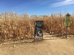 Anderson Farms Erie Upper Maze