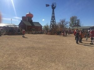 Anderson Farms Erie Chick fil A Cows