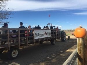 Anderson Farms Erie Wagon Ride