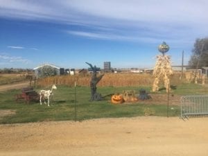 Anderson Farms Erie Halloween Monsters