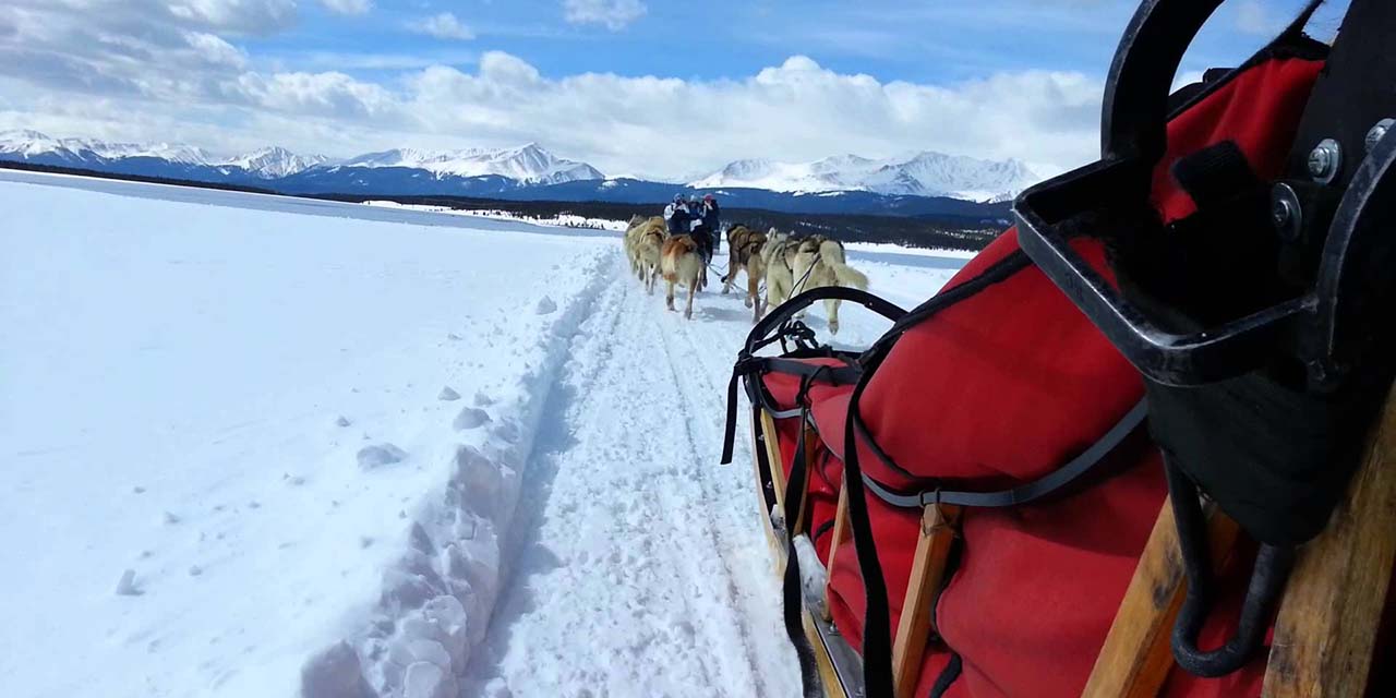 Alpine Adventures Dogsledding Leadville