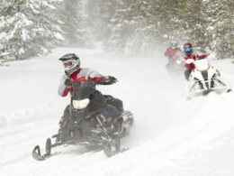 Backbone Adventures Snowmobiling Estes Park