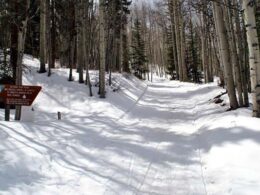 Lake City Snowmobiling Trail