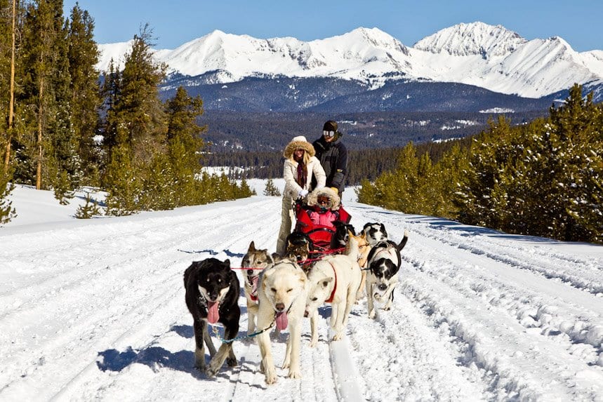Lucky Cat Dog Farm Gunnison, CO Dog sledding tours in Gunnison County
