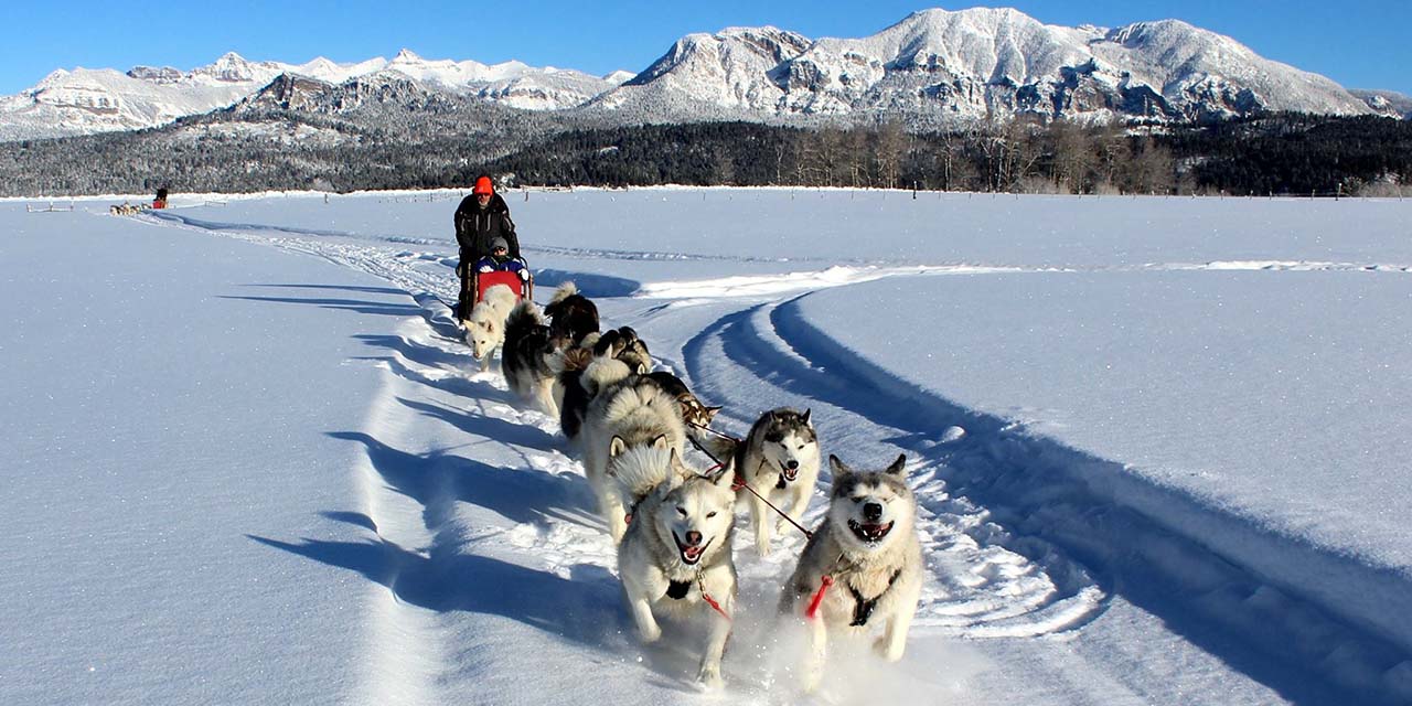 Pagosa Dogsled Adventures Pagosa Springs, CO Dog sledding tours