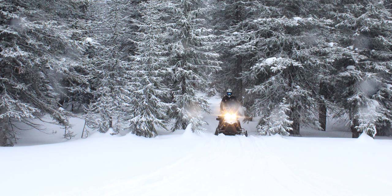 Steamboat Snowmobile Tours Colorado