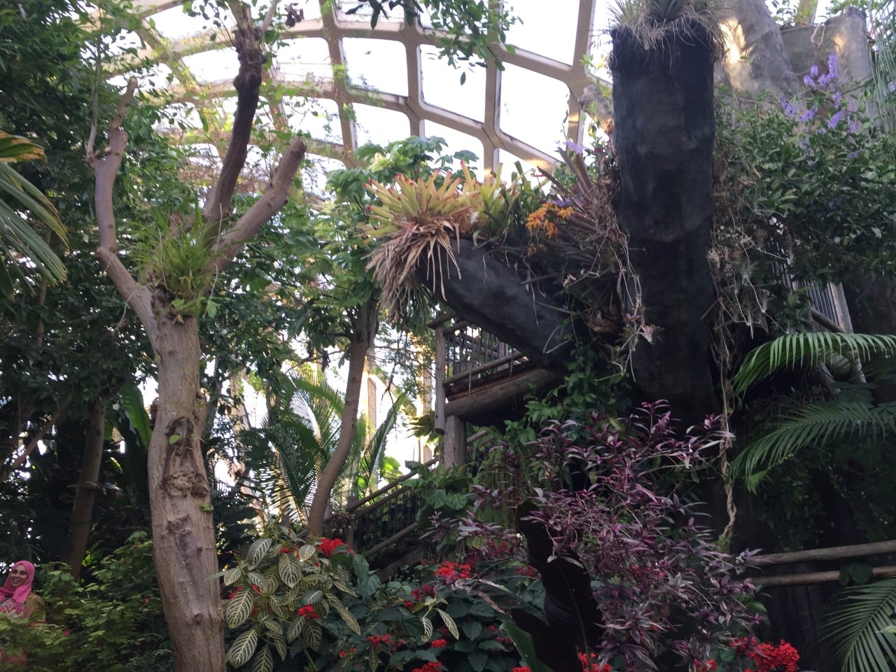 Denver Botanic Gardens Dome Plants