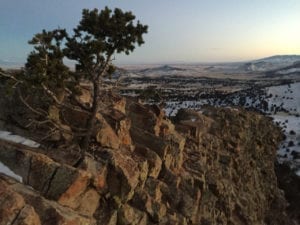 Natural Arch Colorado Pine Tree