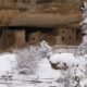 Mesa Verde Spruce Tree House Snow