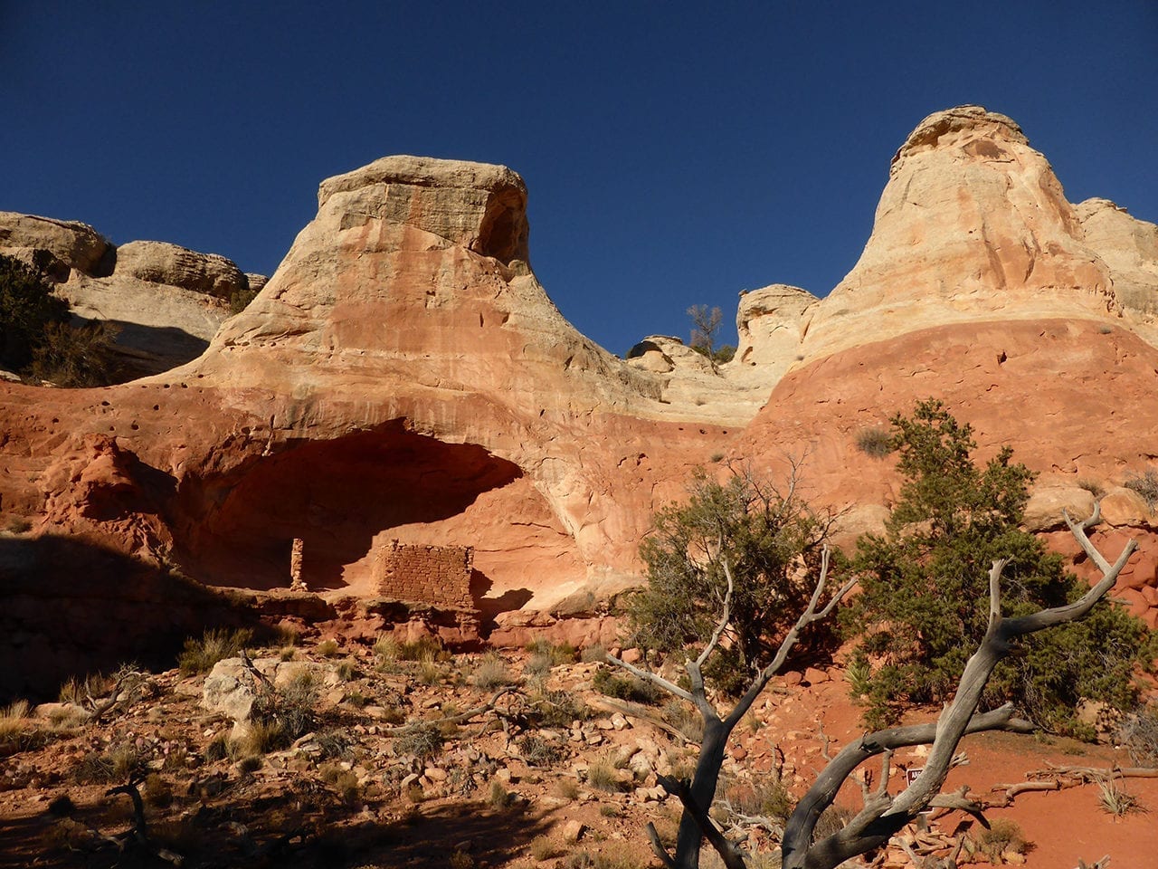 Snowfree Winter Hike on Sand Canyon Trail Canyons of the Ancients hiking near Cortez, CO