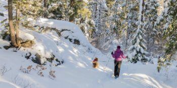 Snowshoeing Vallecito Creek