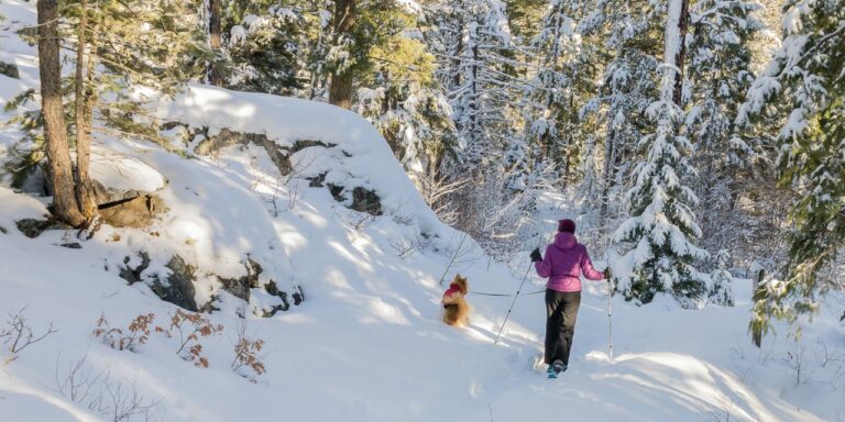 Bayfield, Colorado – La Plata County | Things to do in Bayfield, CO