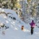 Snowshoeing Vallecito Creek