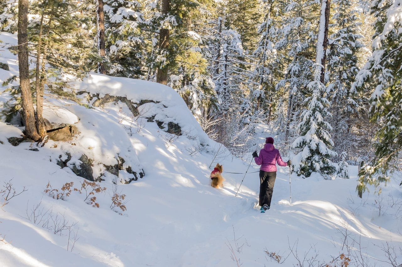Snowshoeing Vallecito Creek Trail, The Weminuche Wilderness Hiking and snowshoeing in Durango, CO