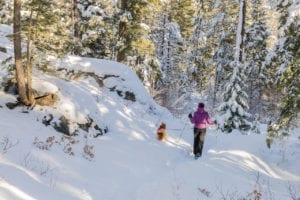 Snowshoeing Vallecito Creek