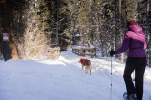 Snowshoeing Vallecito Creek Bridge