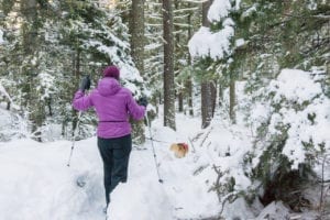 Snowshoeing Vallecito Creek Trail Deep Snow