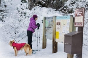 Snowshoeing Vallecito Creek Trail Map