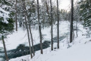 Snowshoeing Vallecito Creek