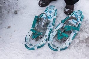 Snowshoeing Vallecito Creek Snowshoes